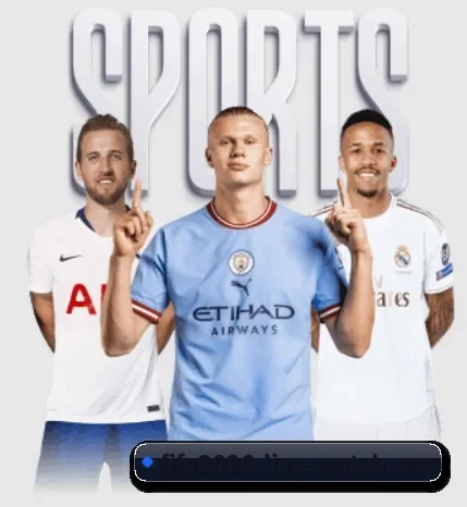 每个板块围绕一个运动项目展开 | FIFA 2026