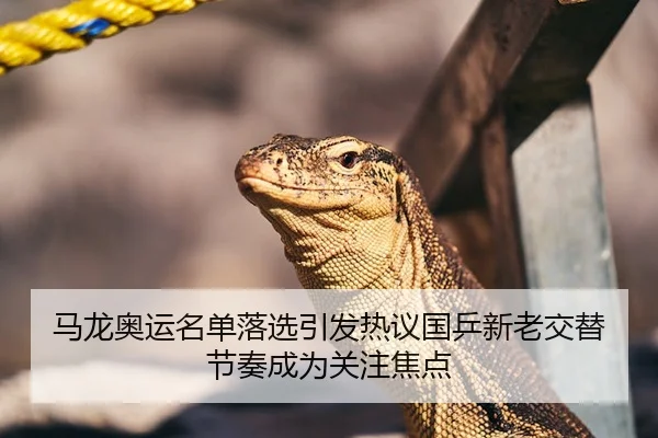 马龙奥运名单落选引发热议国乒新老交替节奏成为关注焦点